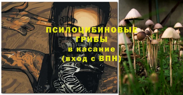 спиды Покачи