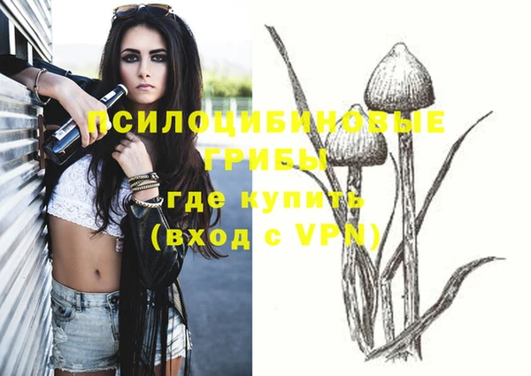 спиды Покачи