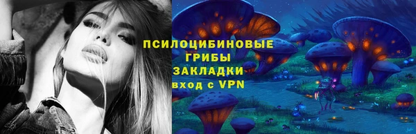 спиды Покачи
