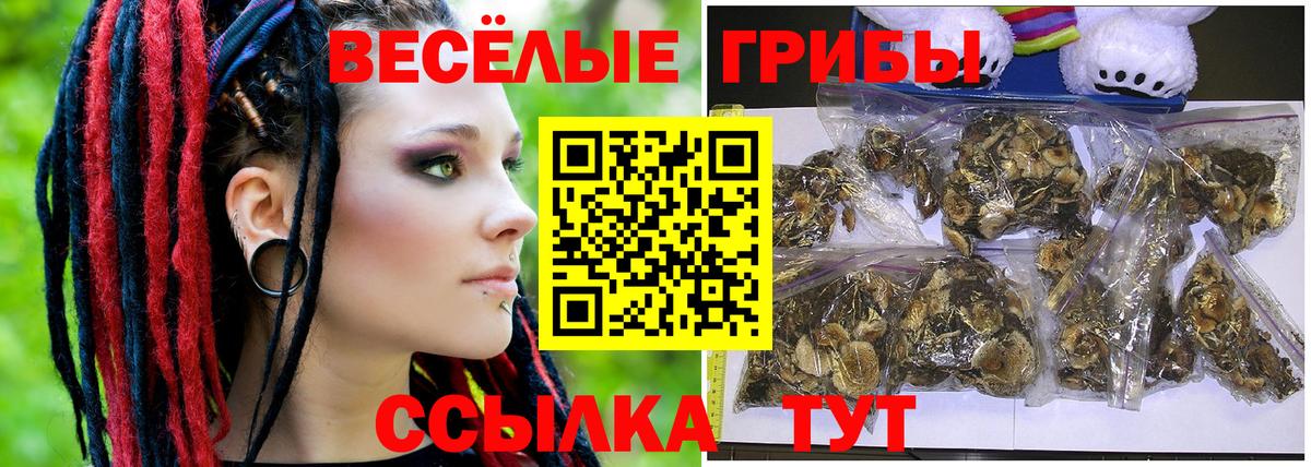 Слободской  Псилоцибиновые грибы GOLDEN TEACHER  Вход с VPN 